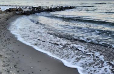 Lütte Höög - Foto 25