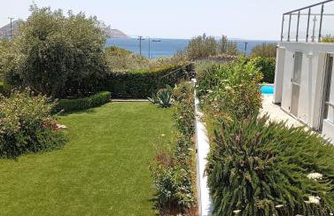 Anemelia & Helios Studio - Foto 39