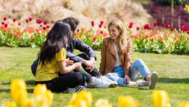 Day Trip to the Keukenhof Gardens - Foto 2