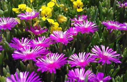 Agriturismo Valiana - Foto 43