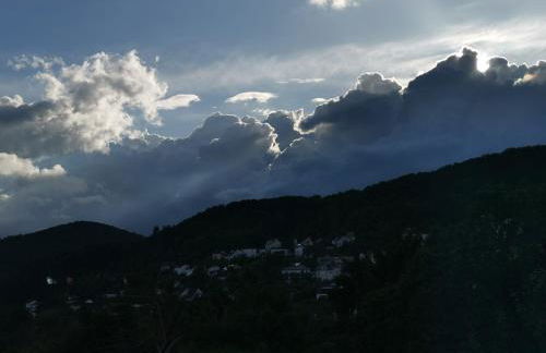 Apartments in Biedenkopf - Foto 35