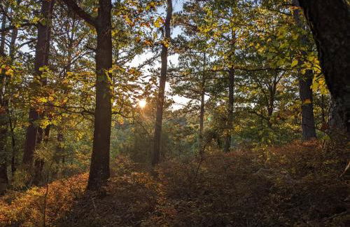 Cabin #6 with hot tub deck and sunset view at Loblolly Pines - Foto 12