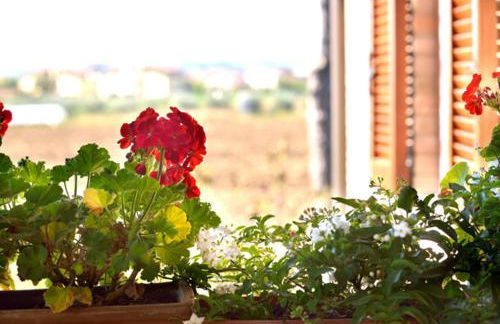 Agriturismo Bellarosa - Photo 46