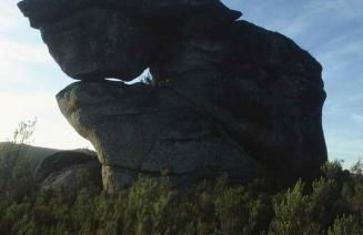 A Lagosta Perdida - Foto 33