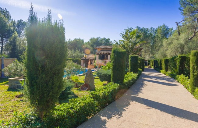 Els Pins in Sa Pobla - Foto 24