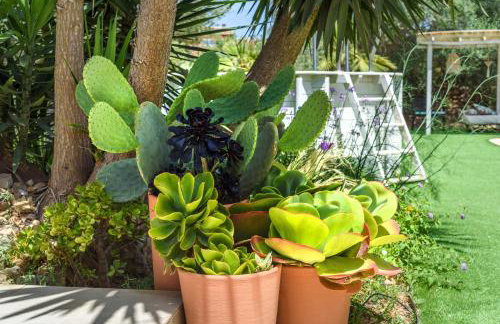 Can Torres - Photo 28