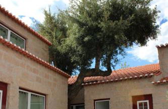 Aromas dos Salgueiros - Foto 34