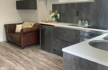 The Little Red lion - Foto 15