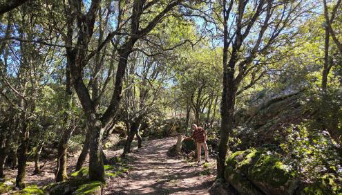 Rifugio Ortobene - Foto 2