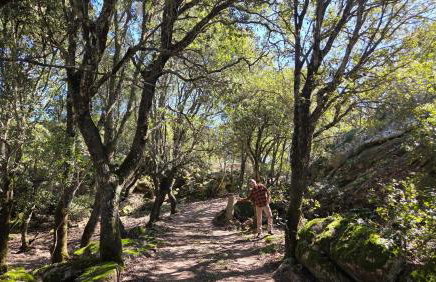 Rifugio Ortobene - Photo 2