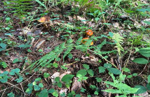 Sferyczny Azyl - Foto 26