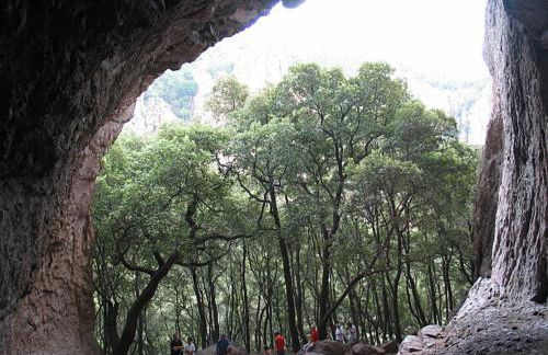 Villa climatisée, jardin, proche du Lac de St Cassien, Grasse, Fréjus, Cannes - Foto 44