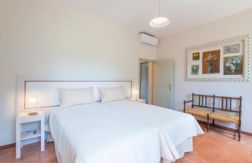 Fonte Flavia - Foto 74