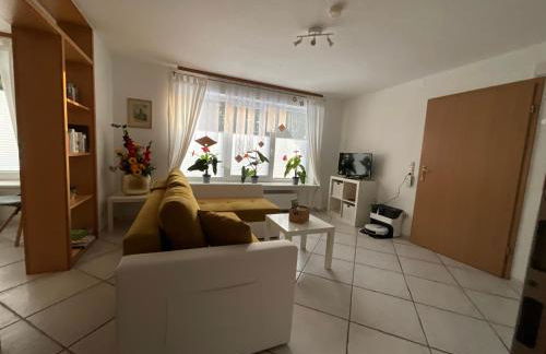 Strandnaher Urlaub mit Hund am Steinhuder Meer - Foto 9