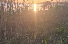 Dock2Apartment Rügen Whg 4 großer Balkon, ruhige Lage - Foto 27