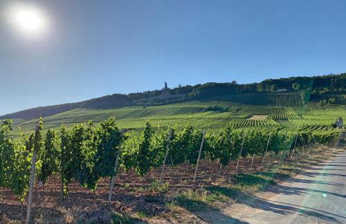Fewo Zum Malerwinkel - Rüdesheim - Foto 50