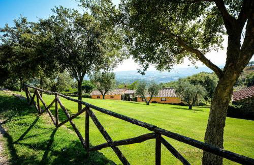 Agriturismo Podere l'Aione - Foto 12