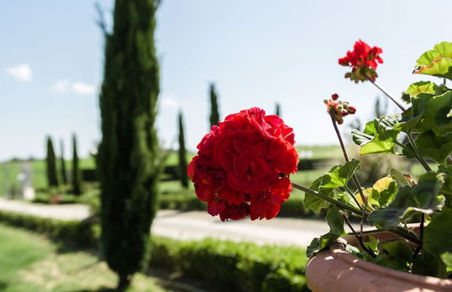 Podere San Giuseppe - Photo 29