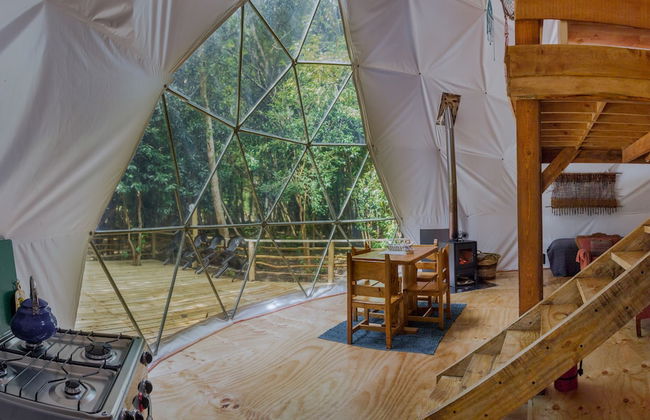 Cabañas Ensenada Bosque Nativo - Foto 2