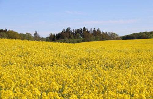Das Landhaus Wohnung 2 - Photo 20