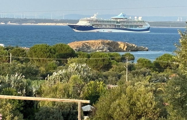 Zeus kır evi - Photo 62