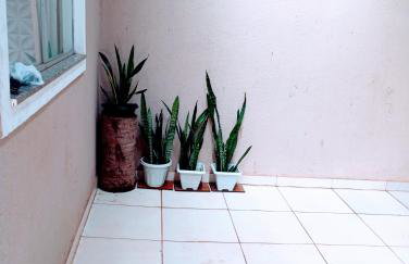 Vanguard Athenas - Foto 18