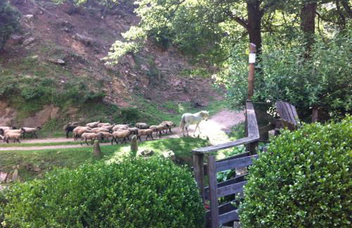 Masía El Moli de Can Aulet - Foto 32