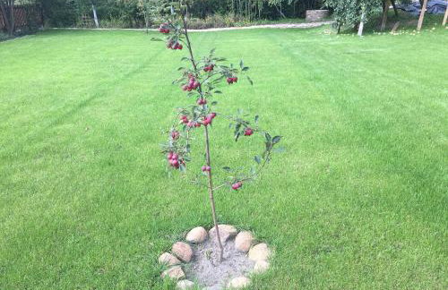 Domek nad Bugiem z Sauną - Foto 23