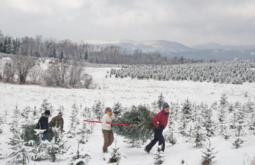 Experience the Rocks Estate like never before with a stay at the Gardeners Cottage! - Foto 62