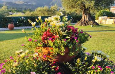 Tuscan Villa exclusive use of private pool A/C Wifi Villa Briciola - Foto 33