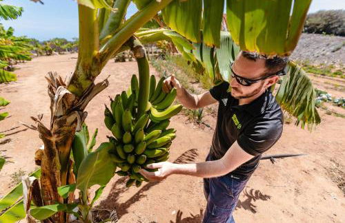 Playitas Aparthotel - Sports Resort - Photo 40