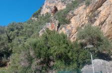 Sa Domu Frisca - Foto 21