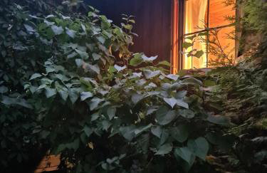 Dom w Tumianach - Foto 16