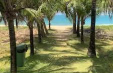 Casa 4 suites - Photo 1