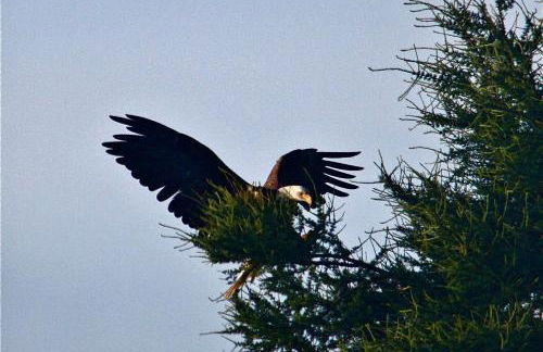 Dragonwood Castle on Waterfront with Stunning View - Foto 25