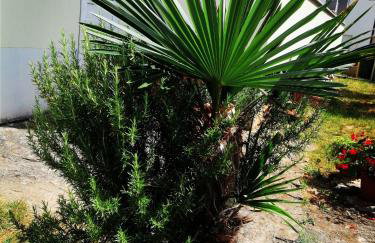 7 PALMI Novigrad - Foto 18