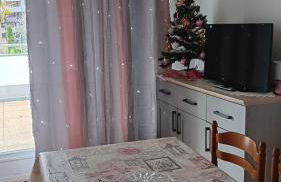 31 avenue GEORGES CLEMENCEAU - Foto 28