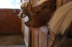 Domek na Obidzy - Foto 33