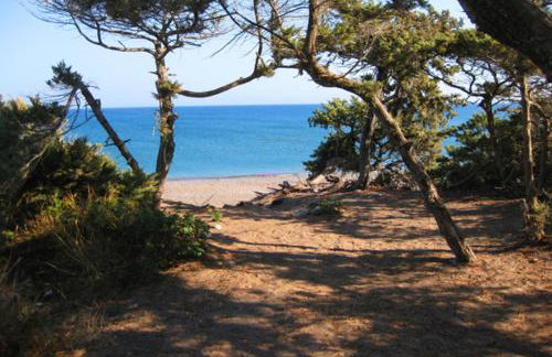 Clive and Bifi's house - Foto 25