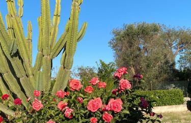 VILLA VITA - Foto 53