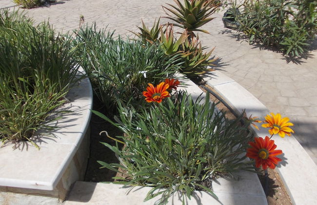 Kalogria Beach Apartments - Photo 19