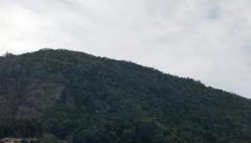 Loft Pereira - Foto 3