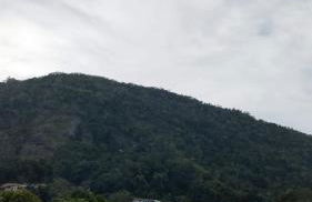 Loft Pereira - Foto 3