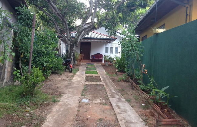 Villahredpalm - Foto 16