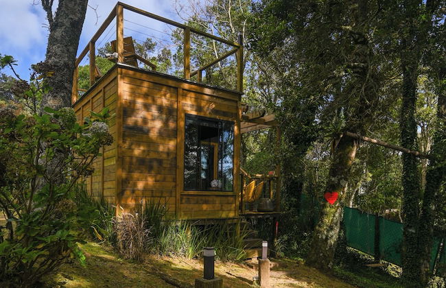 Recanto lira 2 - Foto 27