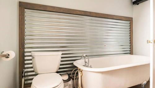 Historic Hagerstown Antietam Battlefield WhiteTail - Foto 3