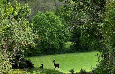 Le Vallonnet Gîte - Photo 2