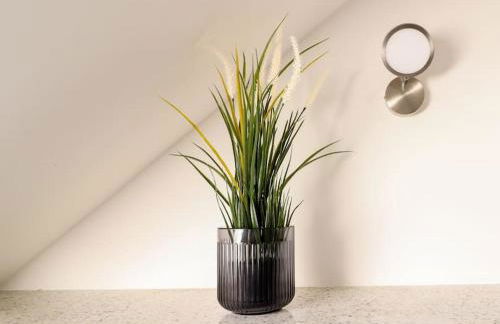 Naturzauber im Harz - Foto 15