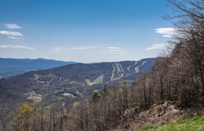 Massanutten's Woodstone Meadows by Tripforth - Foto 65