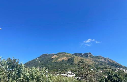 casa l'olivo - Foto 29